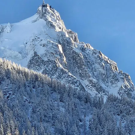 Cosy, Vue Mont Blanc, Plein Centre *