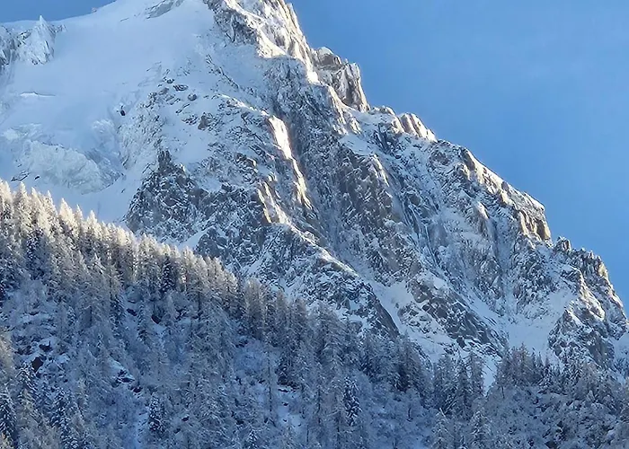Cosy, Vue Mont Blanc, Plein Centre *